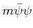 $ m\bar\psi\psi$