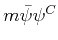$ m\bar\psi\psi^{C}$