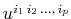 $ u^{i_{1}\,i_{2}\,...,\,i_{p}}$