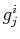 $ g^{i}_{j}$