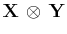 $ \mathbf{X}\,\otimes\,\mathbf{Y}$