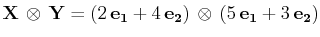$\displaystyle \mathbf{X}\,\otimes\,\mathbf{Y}=(2\,\mathbf{e_{1}}+4\,\mathbf{e_{2}})\,\otimes\,(5\,\mathbf{e_{1}}+3\,\mathbf{e_{2}})$