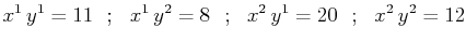 $\displaystyle x^{1}\,y^{1}=11\,\,\,\,;\,\,\,\,x^{1}\,y^{2}=8\,\,\,\,;\,\,\,\,x^{2}\,y^{1}=20\,\,\,\,;\,\,\,\,x^{2}\,y^{2}=12$