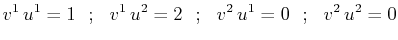 $\displaystyle v^{1}\,u^{1}=1\,\,\,\,;\,\,\,\,v^{1}\,u^{2}=2\,\,\,\,;\,\,\,\,v^{2}\,u^{1}=0\,\,\,\,;\,\,\,\,v^{2}\,u^{2}=0$
