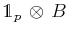 $ \mathds{1}_{p}\,\otimes\,B$