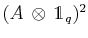 $ (A\,\otimes\,\mathds{1}_{q})^{2}$