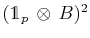 $ (\mathds{1}_{p}\,\otimes\,B)^{2}$
