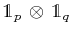 $ \mathds{1}_{p}\,\otimes\,\mathds{1}_{q}$