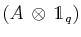$ (A\,\otimes\,\mathds{1}_{q})$