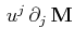 $ \,u^{j}\,\partial_{j}\,\mathbf{M}$