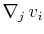 $ \nabla_{j}\,v_{i}$