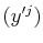 $ (y'^{j})$