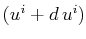 $ (u^{i}+d\,u^{i})$