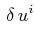 $\displaystyle \,\delta\,u^{i}$