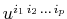 $ u^{i_{1}\,i_{2}\,...\,i_{p}}$