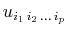 $ u_{i_{1}\,i_{2}\,...\,i_{p}}$