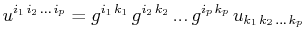$\displaystyle u^{i_{1}\,i_{2}\,...\,i_{p}}=g^{i_{1}\,k_{1}}\,g^{i_{2}\,k_{2}}\,...\,g^{i_{p}\,k_{p}}\,u_{k_{1}\,k_{2}\,...\,k_{p}}$