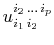 $ u_{i_{1}\,i_{2}}^{i_{2}\,...\,i_{p}}$